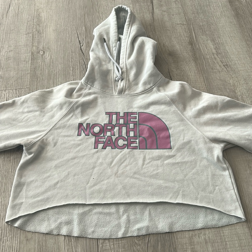 North face hoodie cropped.